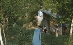 中邮科实力如何？在行业中的地位和口碑怎样？