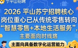平顶山苏宁招聘，2024年最新岗位及要求是什么
