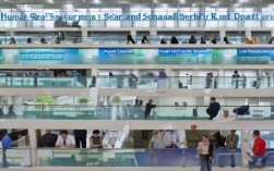 人社厅都有哪些部门?具体职能分工是怎样的?