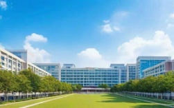 大学生三支一扶如何报考？报名条件与流程是什么？
