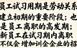 员工试用期如何有效降低离职率？关键措施有哪些？