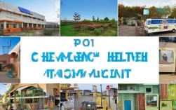 非营利性医疗机构类型多样，究竟包含哪些具体机构？