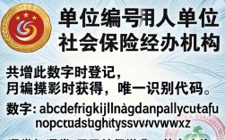 社保单位编号在哪里查询？社保单位编号怎么查？