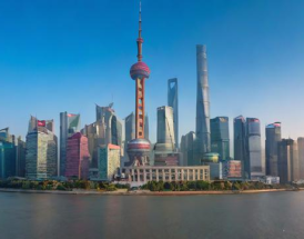上海数羸公司业绩表现与市场评价如何？