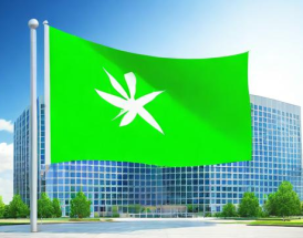 绿旗集团2023年业绩表现如何？最新财务数据与市场分析