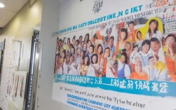 新泰市社区卫生服务中心招聘社区人员，具体岗位和要求是什么？