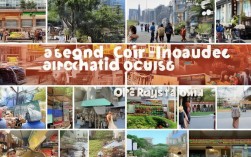 城市社会资源具体包括哪些？本地生活必备指南。