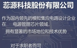 上海蕊源股份怎么样，上海蕊源科技股份有限公司是做什么的