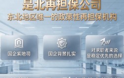 东北再担保公司怎么样，东北再担保公司是国企吗？