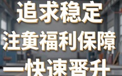 双飞电气怎么样，双飞电气是正规公司吗