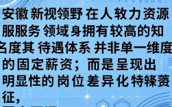安徽新视野待遇怎么样？员工真实工资福利揭秘