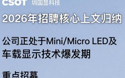 深圳国显科技招聘是真的吗，深圳国显科技招聘