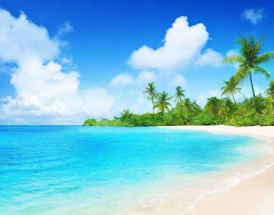 海南企业年报编制流程详解，如何轻松完成年报申报？