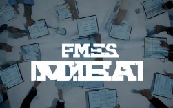 FMEA推行过程中，哪些关键因素决定其成功？