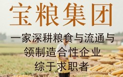 宝粮集团怎么样，宝粮集团是做什么的