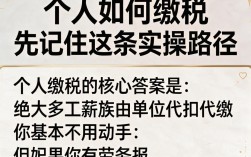 个人如何缴税？个人所得税网上申报缴纳流程步骤详解