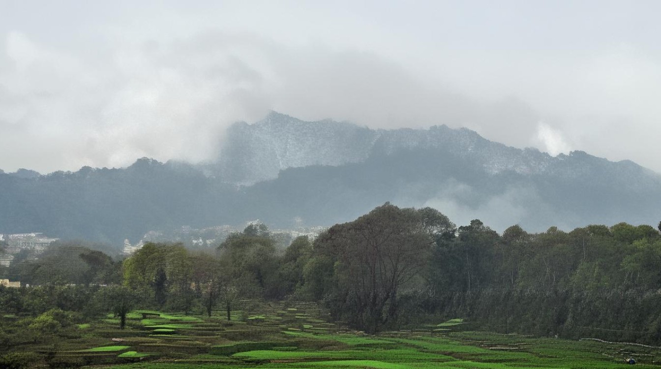 依思有限公司，经营状况、产品口碑、行业评价如何？-图3