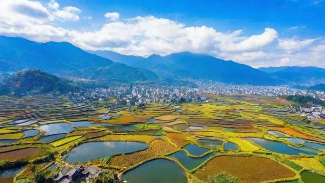 如何在云南进行网上公司注册？流程指南-图2